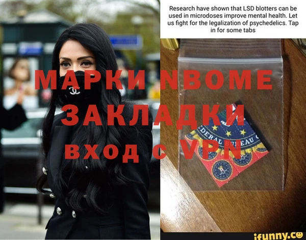 индика Волоколамск